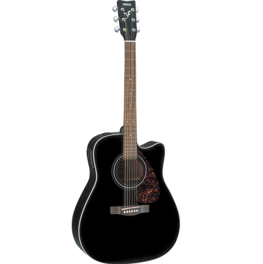 Acoustic Guitar FX370C
